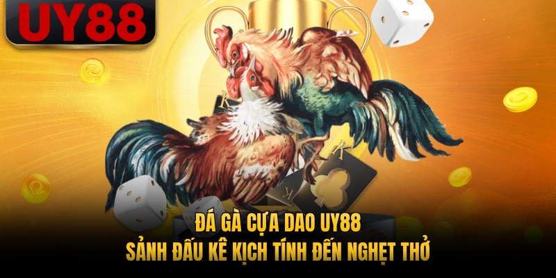 Đá Gà Cựa Dao UY88 - Sảnh Đấu Kê Kịch Tính Đến Nghẹt Thở