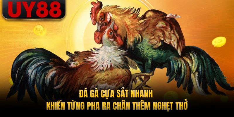 Đá gà cựa sắt nhanh khiến từng pha ra chân thêm nghẹt thở