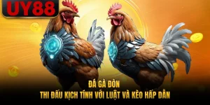 Đá Gà Đòn - Thi Đấu Kịch Tính Với Luật Và Kèo Hấp Dẫn