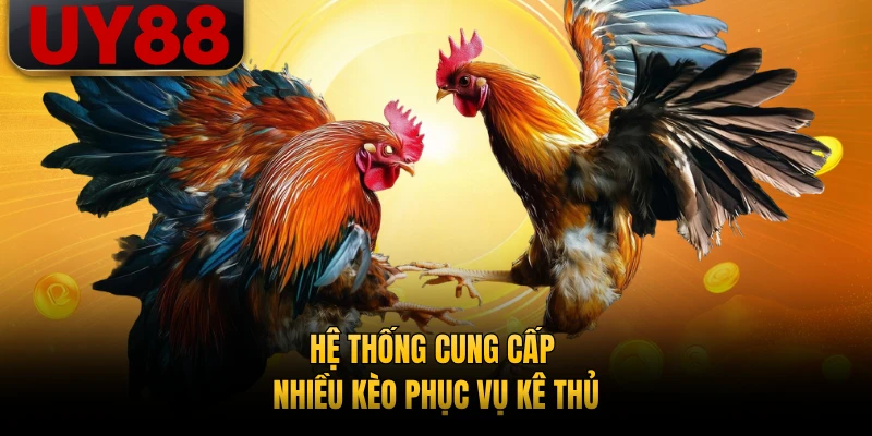 Hệ thống cung cấp nhiều kèo phục vụ kê thủ