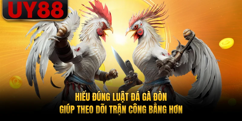 Hiểu đúng luật đá gà đòn giúp theo dõi trận công bằng hơn