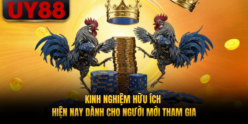 Kinh nghiệm hữu ích hiện nay dành cho người mới tham gia
