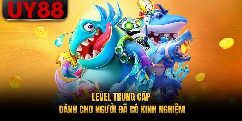 Level trung cấp dành cho người đã có kinh nghiệm