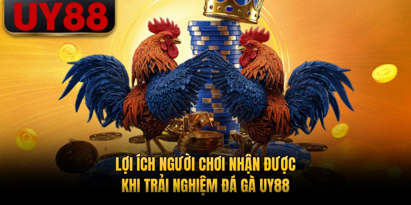 Lợi ích người chơi nhận được khi trải nghiệm đá gà UY88