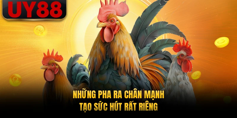 Những pha ra chân mạnh tạo sức hút rất riêng