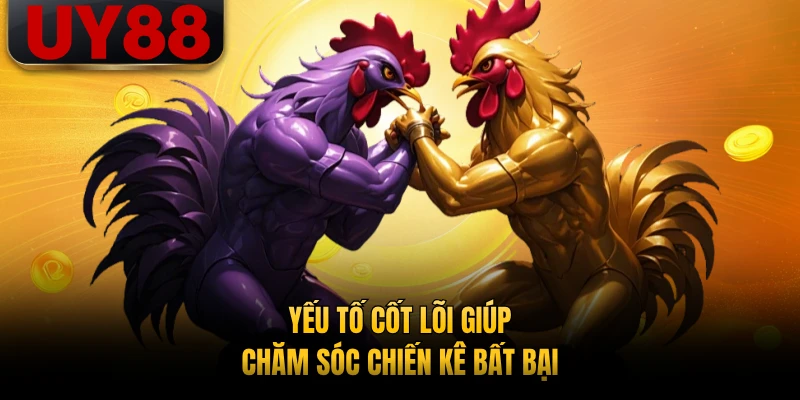 Yếu tố cốt lõi giúp chăm sóc chiến kê bất bại